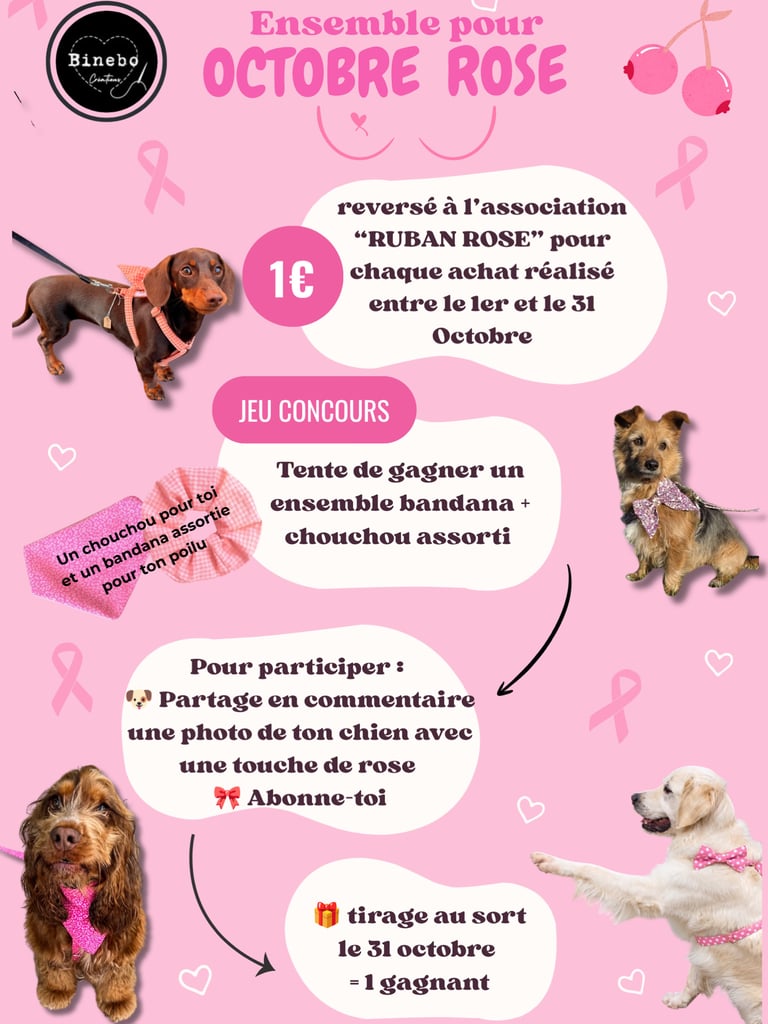 Un joli bandana pour ton poilu + un chouchou assorti pour toi