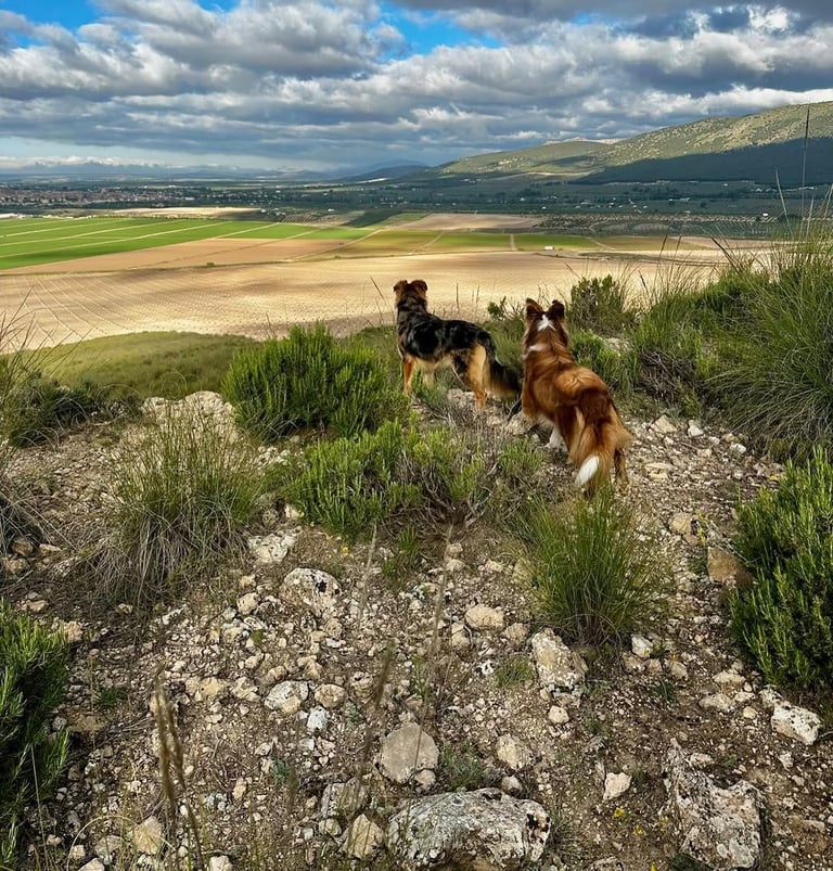 4-daags verblijf in huéscar, spanje