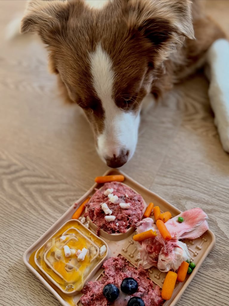 KBRAW verrassingspakket van Animal Food Express ter waarde van €40 inclusief verzendkosten t.wv. 12,95