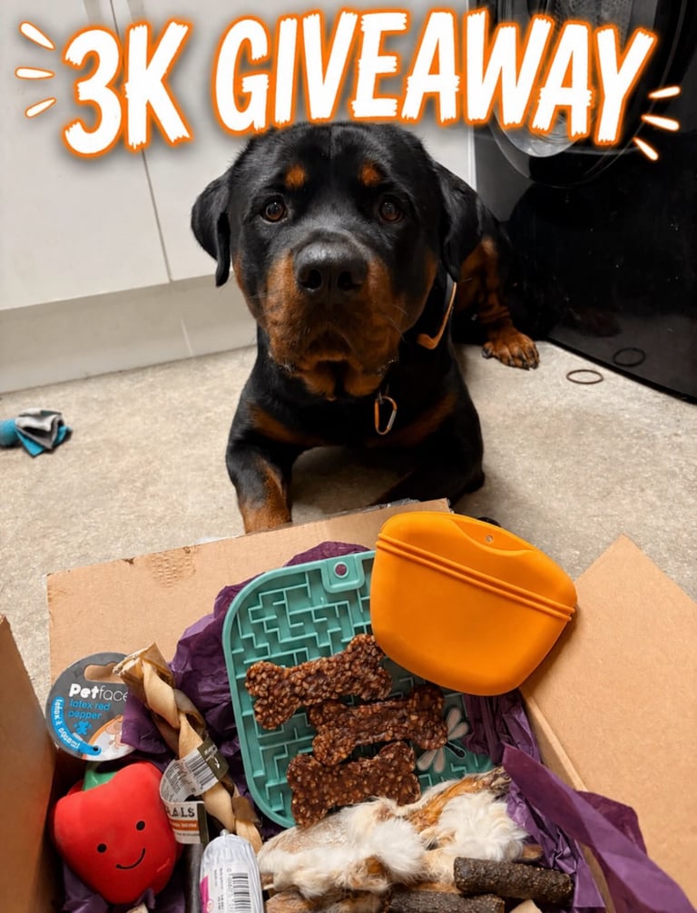 Some of our fave treats that Albus absolutely loves, and also the cutest pepper toy & even my all time fave treat pouch