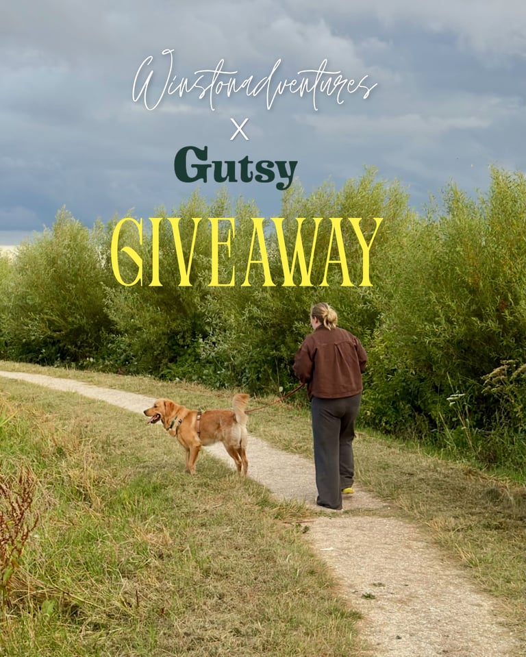 100 EUR gift card with @gutsy.dog