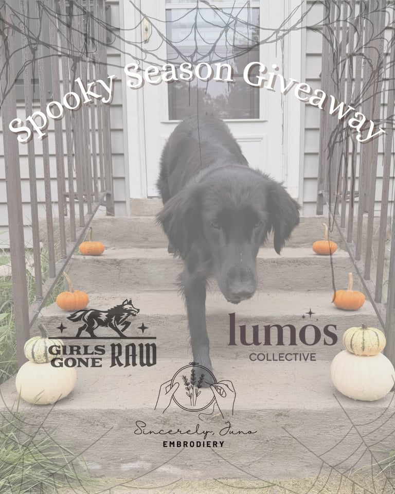 Sincerely, Juno custom ghost dog tote, Girls Gone Raw rabbit chews, and a Lumos Collective reiki oil and candle