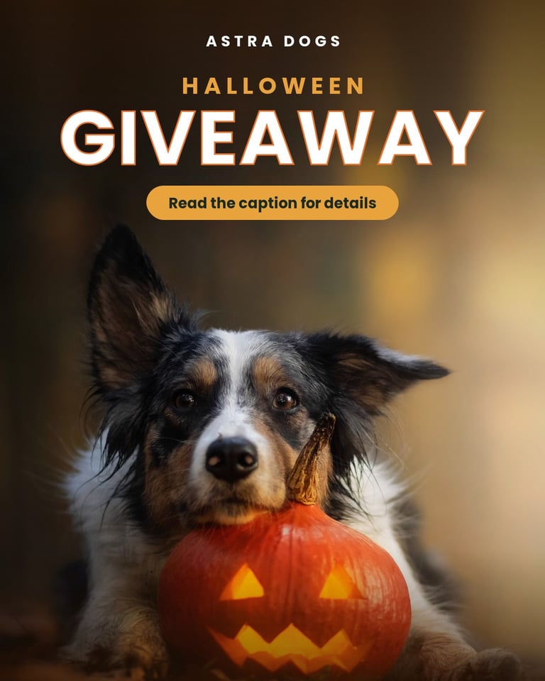 LIFETIME access to Astra Dogs