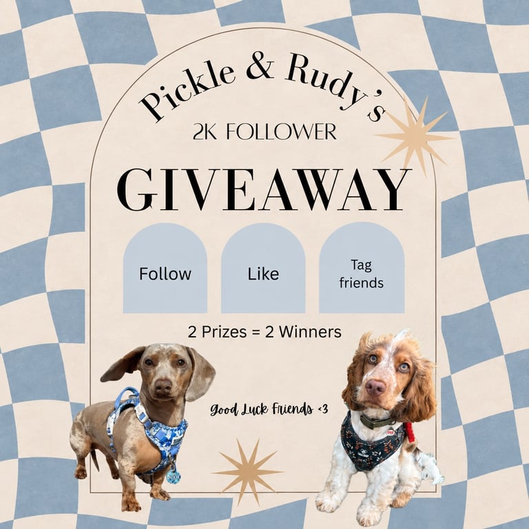 Two prize bundles