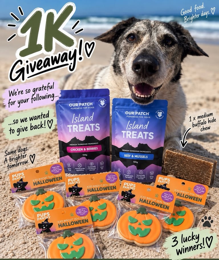 2 x Our Patch Island Treats + 1 x medium Buffalo Hide Chew + 5 x Pups in the Pantry Halloween cookies