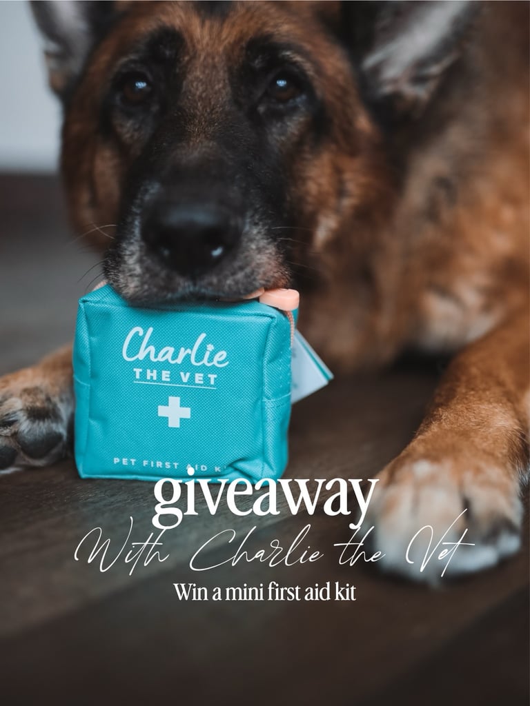 Mini pet first aid kit