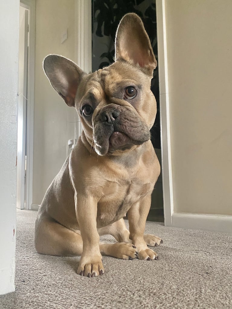 Marley