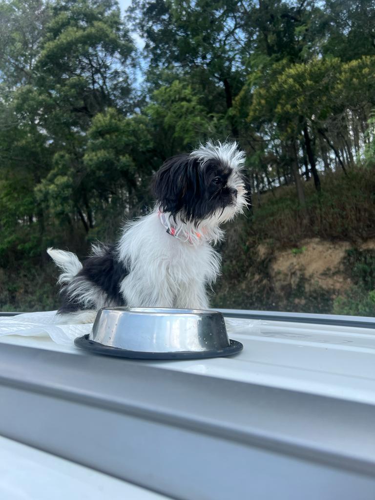 Bella