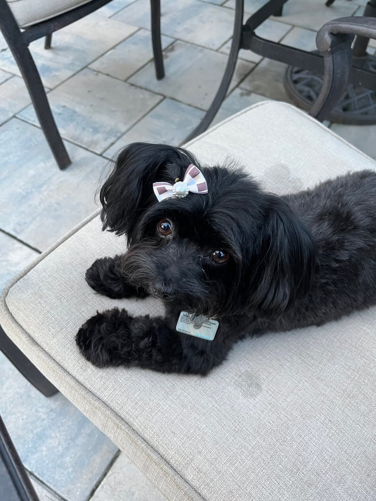 Phoebe
