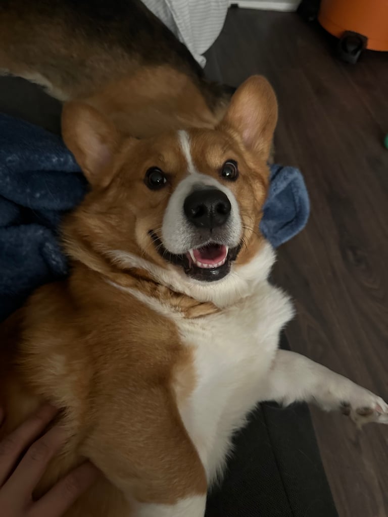 Peanut