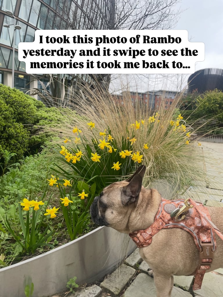Instagram Story Sequence