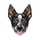 Top Dog Film Festival
