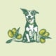 Olive Pup