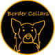 Border Collar Co- Custom Crystal Collars