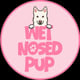 Wet Nosed Pup