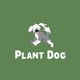 PLANT DOG