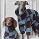 Hilary’s Hounds