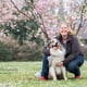 Thedogcompany
