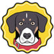 Brutus Broth