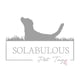 Solabulous Pet Tags