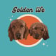 The Golden Life