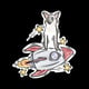 SpaceDog Treats