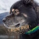 Risingriverllc