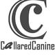 Collared Canine Biothane