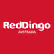 Red Dingo