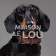 Maisonlelou