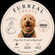 Furreal Treats