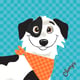 Champs Pet Kitchen