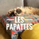 Les papattes