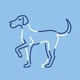 WagWellPet