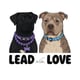 Lead With Love UK