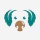 Mushrooms for Dogs