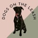 Dog accessoires