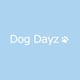Dog Dayz