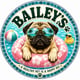 Bailey's CBD For Pets