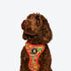 Kente Canines