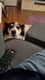 Amy