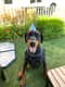 Leroy