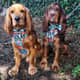 Romeo and Gio