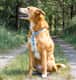 Shiloh