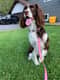 Marley