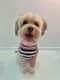 Bailey