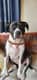 roxy