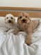 George and Eddie