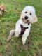 Ralph