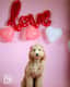 Remi